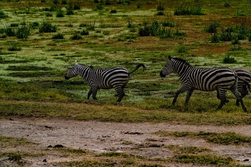 _DSC1292