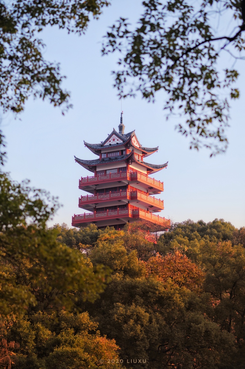 苍苍竹林寺,杳杳钟声晚.冬,株洲芦淞.