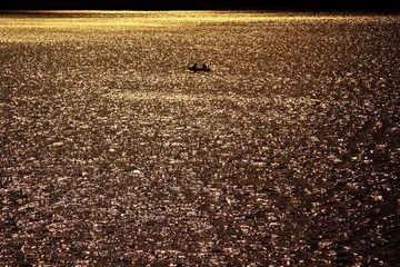 IMG_2446.JPG