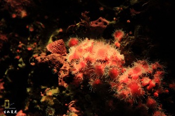 IMG_3760.JPG