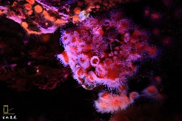 IMG_3761.JPG