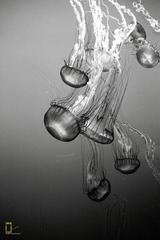 IMG_3815.JPG