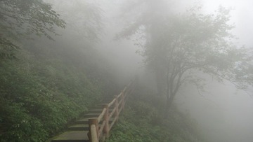 DSC09378 - 副本 - 副本.JPG