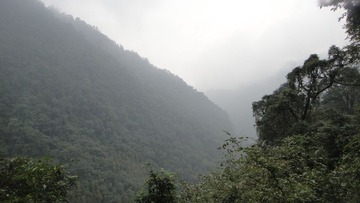 DSC09349 - 副本 - 副本.JPG