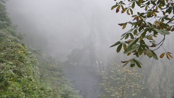 DSC09398 - 副本 - 副本.JPG