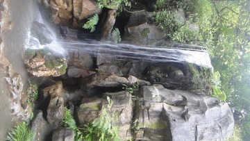 DSC09303.JPG