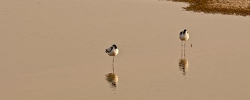 _DSC0898_1.JPG
