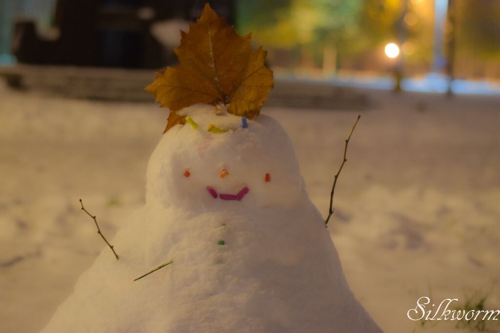 第二场雪,本来白天拍过了但是晚上又忍不住和练达出去扫了一遍校园,拍到了这个看上去很温暖柔和的雪人