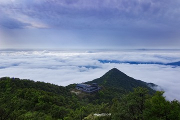 云端之上