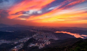 小梧桐