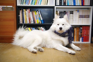 IMGP2738 副本2.jpg