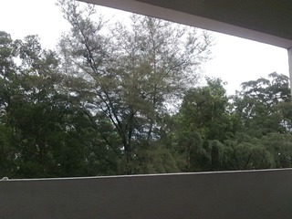 20100530586.jpg