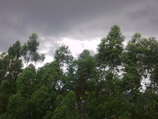 21052010491.jpg