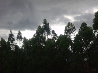 21052010492.jpg