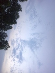 21052010503.jpg