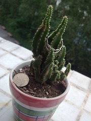 200911092826.jpg