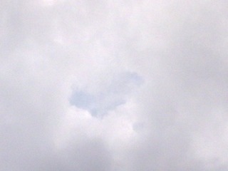 201002073114.jpg