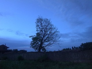 201007291208.jpg