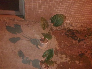 201009081741.jpg