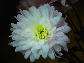 290220