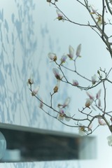 13F31122-057E-4CCC-8873-BC744A2CBFDC/L0/001