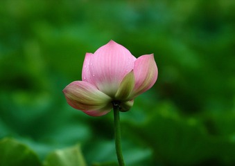 IMG_1924.JPG