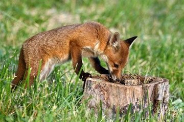 IMG_3795.JPG