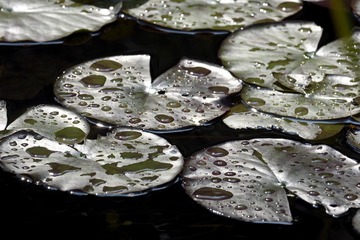IMG_3857.JPG