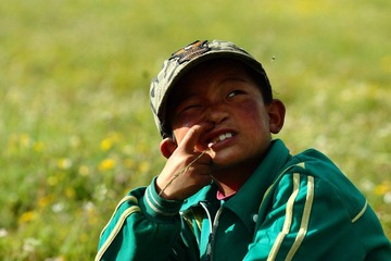 IMG_2871.JPG