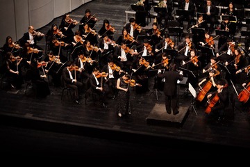 IMG_0800.jpg