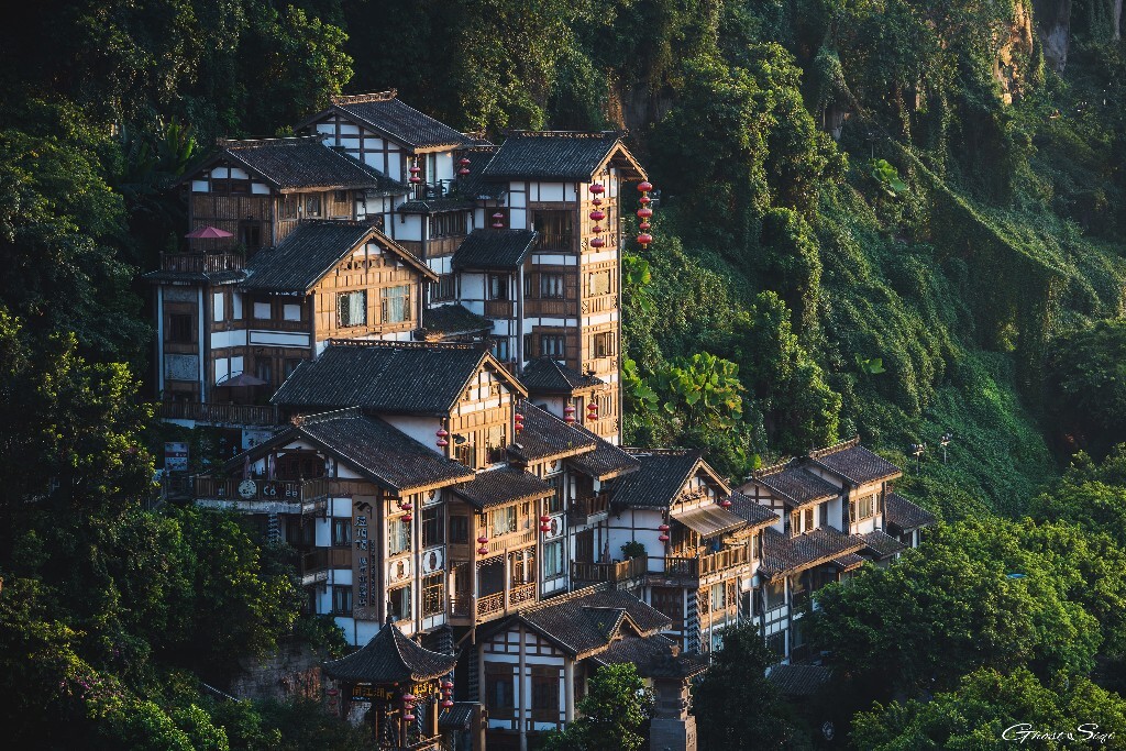 7月末的山城，火炉的三伏天连续几天温度40+，确实用重庆话来说，这天不摆了。拍了一张让自己能”降暑“的片子，当电脑桌面屏保用，来点绿荫，心中到是宁静了片刻，三伏天的重庆，天天自带灰度蒙版，除了个热字，没别的形容字。<br />
当然，拍这张片子的时候，室外温度40+，我在山城街巷里窜着，这个夏天过了，我深信我可以去肯尼亚了。