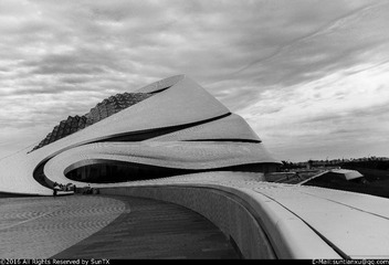 DSC_5598-1