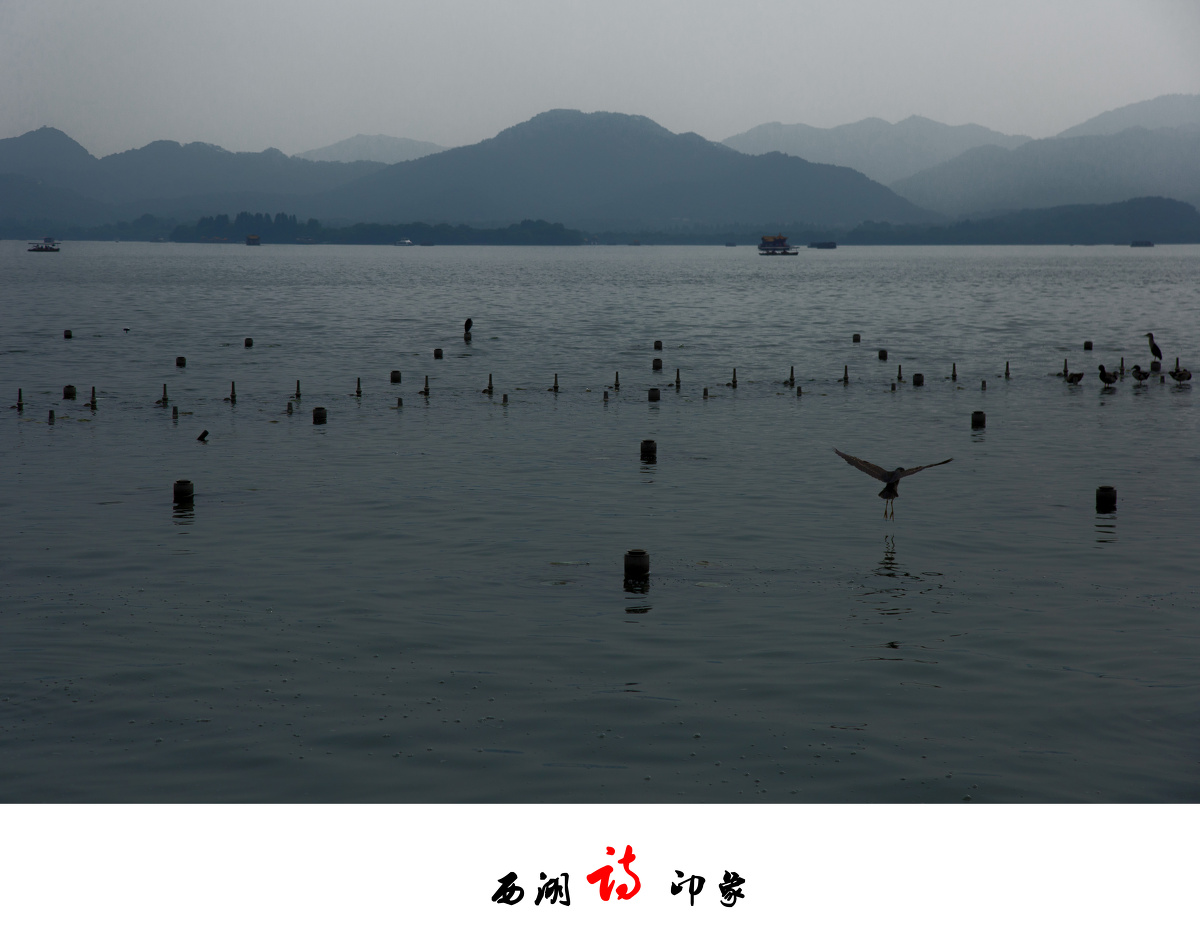 西湖诗印象 - 情绪, 自然, 西湖, 色彩, 佳能, 风光