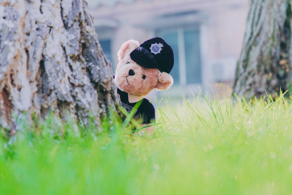小熊1