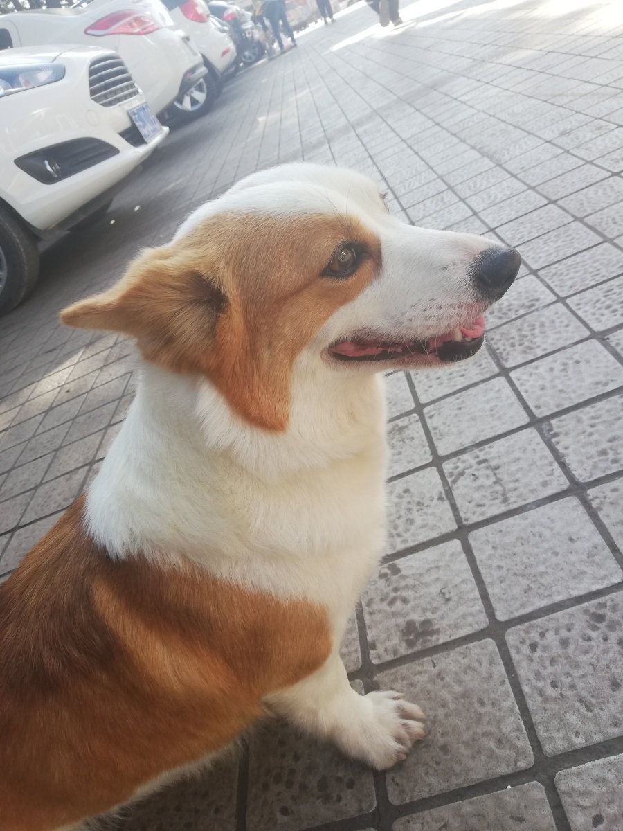 Ag旗舰厅赞助 有什么好看的动漫 有什么好看的动漫推荐 最近有什么好看的动漫 Ag旗舰厅赞助 动漫 小朋友们 连载 日本漫画家