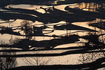 “_MGL0890”为智能对象-1