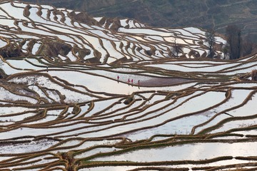 “_MGL0946”为智能对象-1