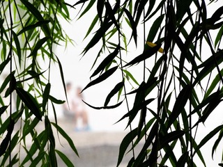 情浓意深