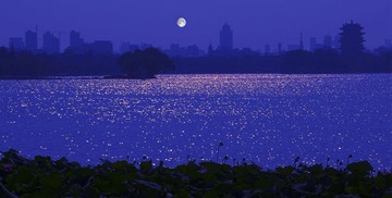 明湖夜色美.