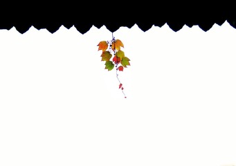 古宅秋韵