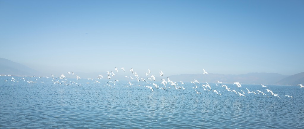 洱海