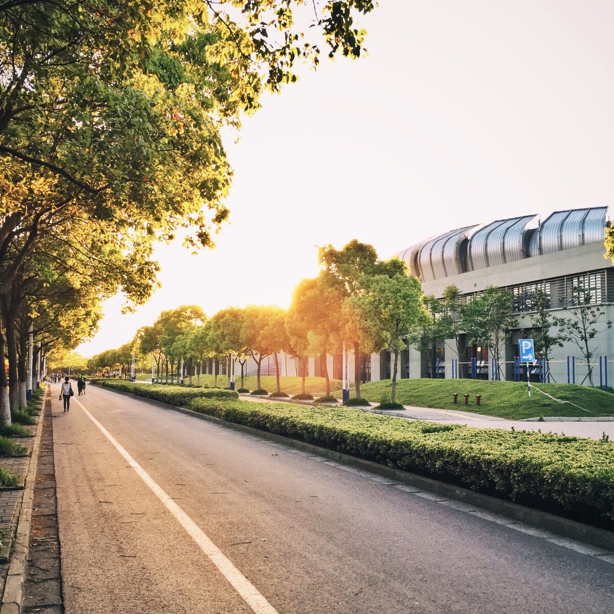 【东南大学九龙湖校区】体育馆