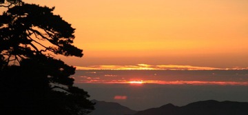 IMG_5010-1.jpg