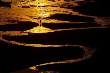 _MG_3126a.jpg