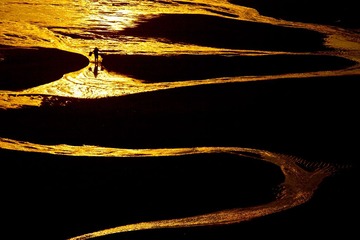 _MG_3127.jpg