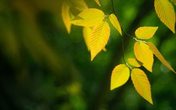 P4210013