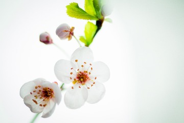 P1010064