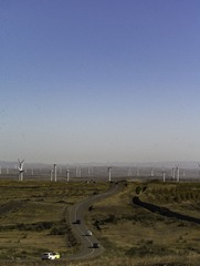 _DSC1171