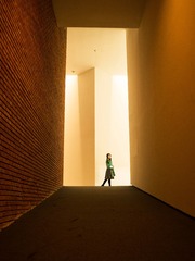 DSC_5255_
