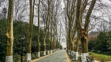20160301_124122
